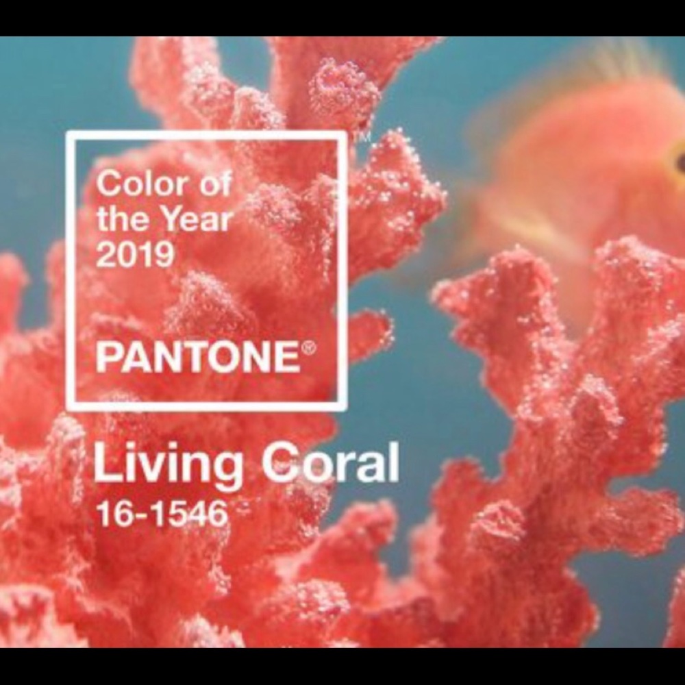 Living Coral Color of the Year 2019